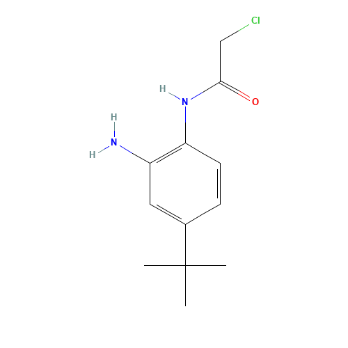 N-(2-amino-4-tert-butylphenyl)-2-chloroacetamide (CAS: 882678-84-4) - Chemical Structure and Molecular Formula 