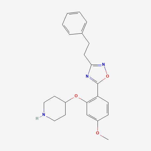 5-(4-methoxy-2-piperidin-4-yloxyphenyl)-3-(2-phenylethyl)-1,2,4-oxadiazole (CAS: 1443208-67-0) - Related Chemical Product