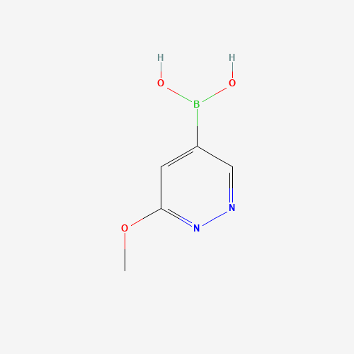 (6-methoxypyridazin-4-yl)boronic acid (CAS: 1428423-36-2) - Related Chemical Product