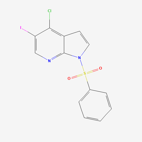 1-(benzenesulfonyl)-4-chloro-5-iodopyrrolo[2,3-b]pyridine (CAS: 1196507-56-8) - Related Chemical Product
