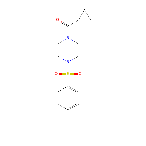 [4-(4-tert-butylphenyl)sulfonylpiperazin-1-yl]-cyclopropylmethanone (CAS: 925580-64-9) - Related Chemical Product