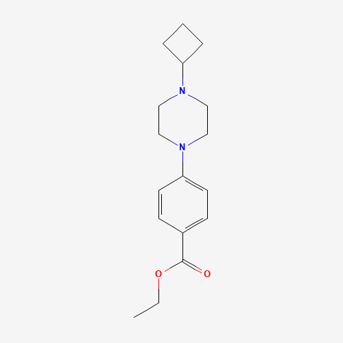 ethyl 4-(4-cyclobutylpiperazin-1-yl)benzoate (CAS: 1035271-09-0) - Related Chemical Product