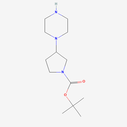 tert-butyl 3-piperazin-1-ylpyrrolidine-1-carboxylate (CAS: 867265-71-2) - Related Chemical Product