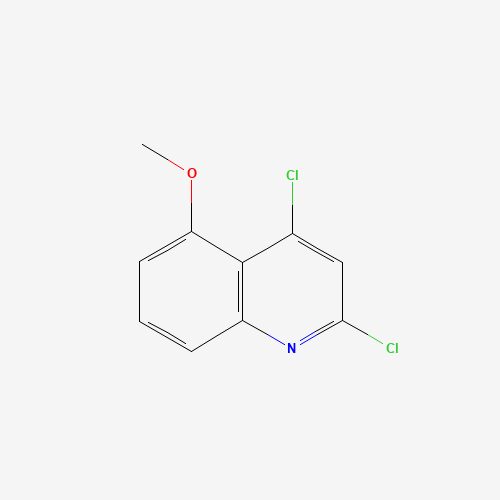 2,4-dichloro-5-methoxyquinoline (CAS: 55934-21-9) - Related Chemical Product