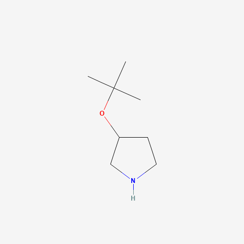 3-[(2-methylpropan-2-yl)oxy]pyrrolidine (CAS: 1247110-73-1) - Related Chemical Product