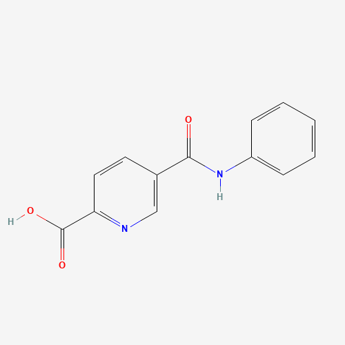 5-(phenylcarbamoyl)pyridine-2-carboxylic acid (CAS: 781583-67-3) - Related Chemical Product