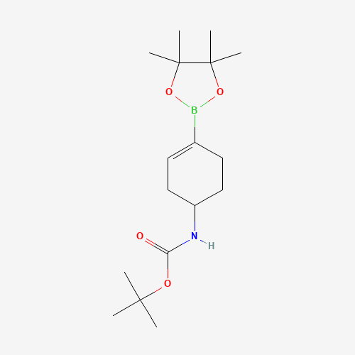 tert-butyl N-[4-(4,4,5,5-tetramethyl-1,3,2-dioxaborolan-2-yl)cyclohex-3-en-1-yl]carbamate (CAS: 1251732-64-5) - Related Chemical Product