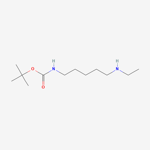 tert-butyl N-[5-(ethylamino)pentyl]carbamate (CAS: 883555-11-1) - Related Chemical Product