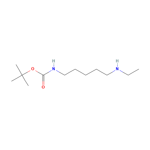 tert-butyl N-[5-(ethylamino)pentyl]carbamate (CAS: 883555-11-1) - Related Chemical Product