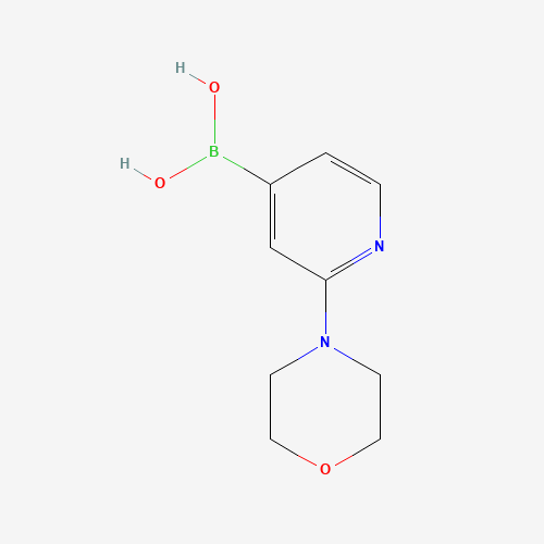 (2-morpholin-4-ylpyridin-4-yl)boronic acid (CAS: 952206-85-8) - Related Chemical Product