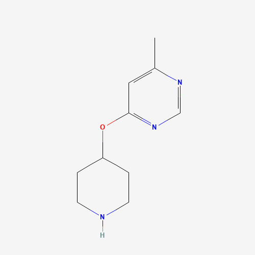 4-methyl-6-piperidin-4-yloxypyrimidine (CAS: 1208254-87-8) - Related Chemical Product