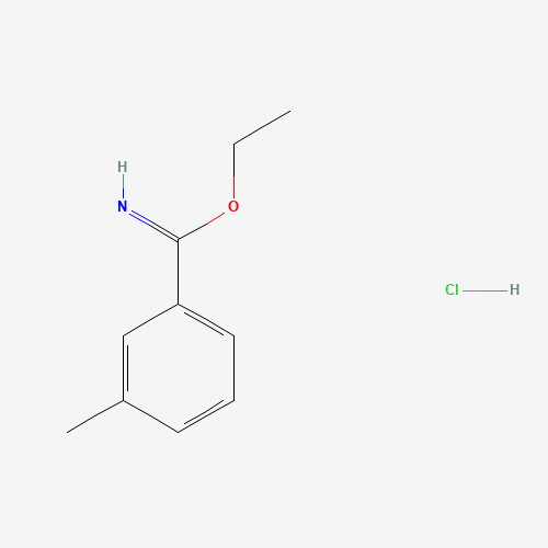 ethyl 3-methylbenzenecarboximidate;hydrochloride (CAS: 54998-35-5) - Related Chemical Product