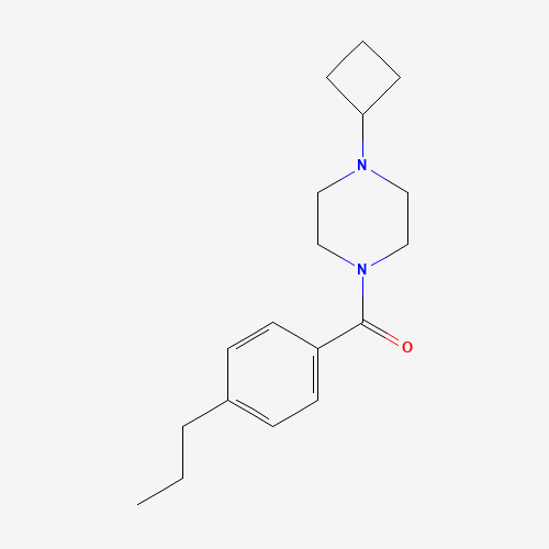 (4-cyclobutylpiperazin-1-yl)-(4-propylphenyl)methanone (CAS: 1000405-05-9) - Related Chemical Product