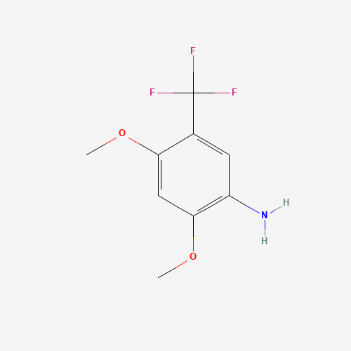 2,4-dimethoxy-5-(trifluoromethyl)aniline (CAS: 228401-47-6) - Related Chemical Product