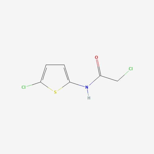 2-chloro-N-(5-chlorothiophen-2-yl)acetamide (CAS: 881742-93-4) - Related Chemical Product
