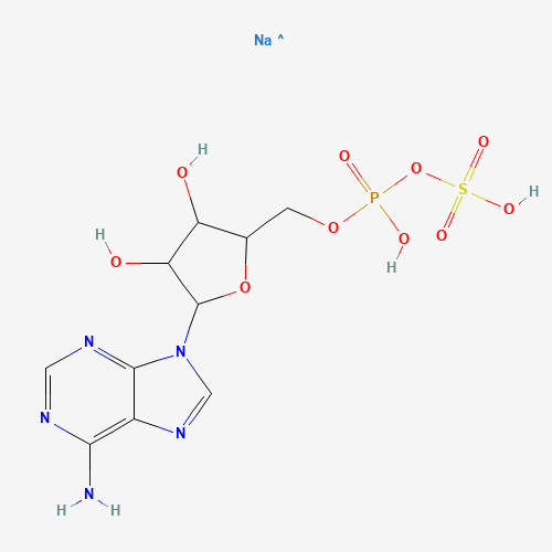[5-(6-aminopurin-9-yl)-3,4-dihydroxyoxolan-2-yl]methyl sulfo hydrogen phosphate;sodium (CAS: 102029-95-8) - Related Chemical Product