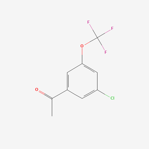 1-[3-chloro-5-(trifluoromethoxy)phenyl]ethanone (CAS: 886503-42-0) - Related Chemical Product
