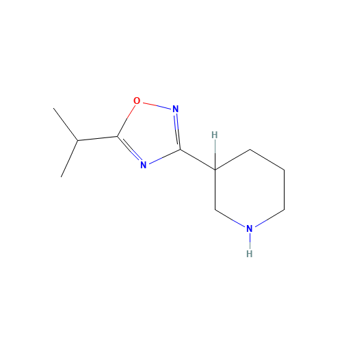 3-piperidin-3-yl-5-propan-2-yl-1,2,4-oxadiazole (CAS: 1251999-18-4) - Related Chemical Product