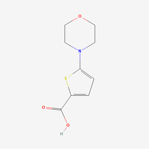 5-morpholin-4-ylthiophene-2-carboxylic acid (CAS: 332345-27-4) - Related Chemical Product