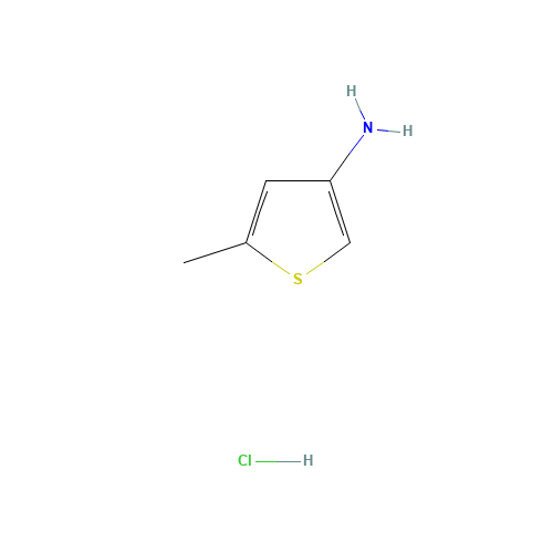5-methylthiophen-3-amine;hydrochloride (CAS: 24030-01-1) - Related Chemical Product