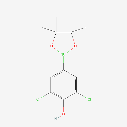 2,6-dichloro-4-(4,4,5,5-tetramethyl-1,3,2-dioxaborolan-2-yl)phenol (CAS: 1003298-87-0) - Related Chemical Product