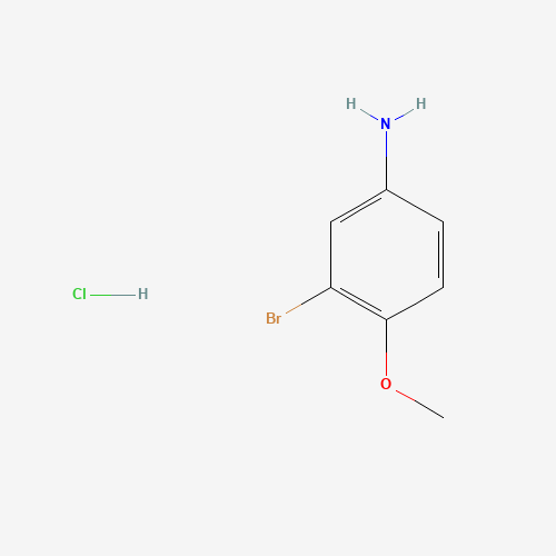 3-bromo-4-methoxyaniline;hydrochloride (CAS: 80523-34-8) - Chemical Structure and Molecular Formula 