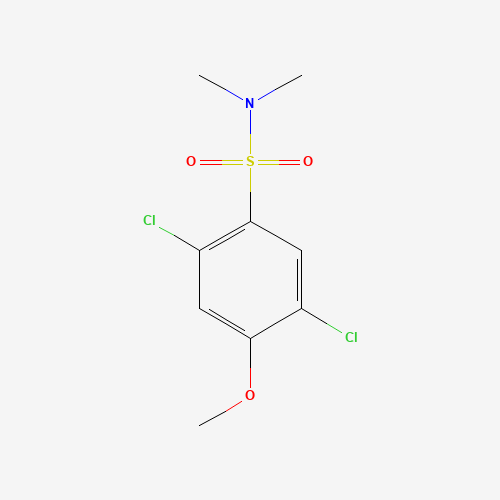 2,5-dichloro-4-methoxy-N,N-dimethylbenzenesulfonamide (CAS: 473477-25-7) - Related Chemical Product