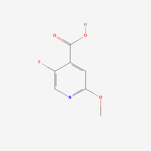 5-fluoro-2-methoxypyridine-4-carboxylic acid (CAS: 884495-30-1) - Related Chemical Product