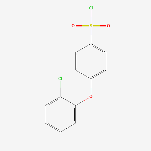 4-(2-chlorophenoxy)benzenesulfonyl chloride (CAS: 610277-84-4) - Related Chemical Product