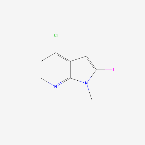 4-chloro-2-iodo-1-methylpyrrolo[2,3-b]pyridine (CAS: 1312581-09-1) - Related Chemical Product