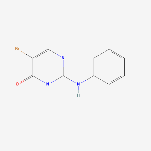 2-anilino-5-bromo-3-methylpyrimidin-4-one (CAS: 946505-28-8) - Related Chemical Product