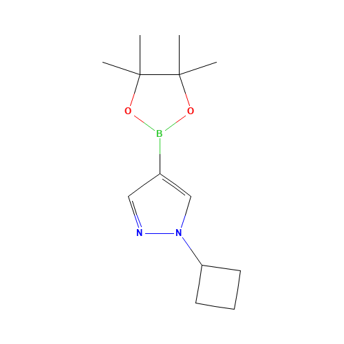 1-cyclobutyl-4-(4,4,5,5-tetramethyl-1,3,2-dioxaborolan-2-yl)pyrazole (CAS: 1002309-48-9) - Related Chemical Product