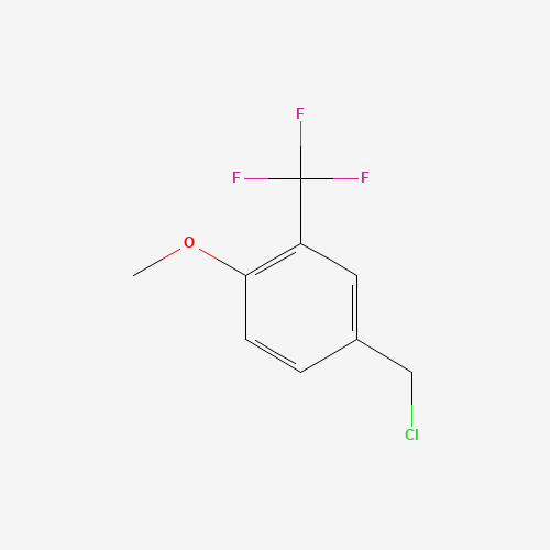 4-(chloromethyl)-1-methoxy-2-(trifluoromethyl)benzene (CAS: 1005207-24-8) - Related Chemical Product