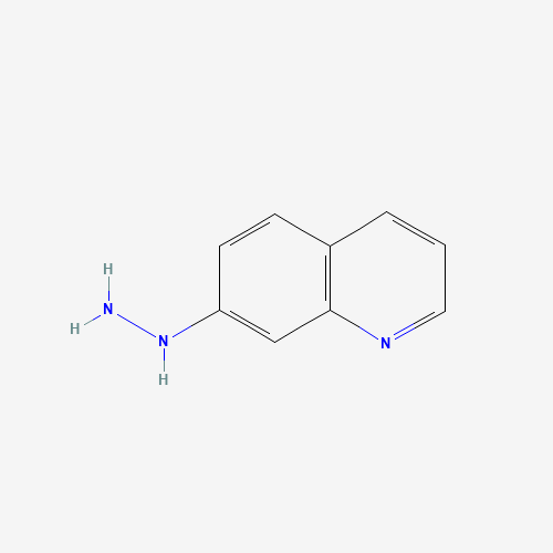 quinolin-7-ylhydrazine (CAS: 15794-12-4) - Related Chemical Product