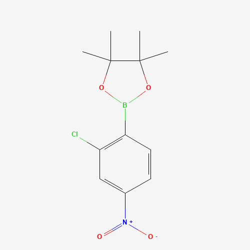 2-(2-chloro-4-nitrophenyl)-4,4,5,5-tetramethyl-1,3,2-dioxaborolane (CAS: 1426804-80-9) - Related Chemical Product