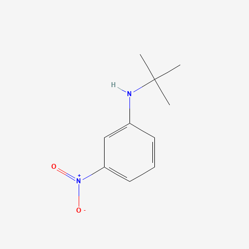 N-tert-butyl-3-nitroaniline (CAS: 103394-70-3) - Related Chemical Product