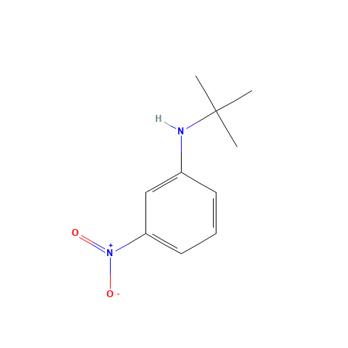N-tert-butyl-3-nitroaniline (CAS: 103394-70-3) - Related Chemical Product