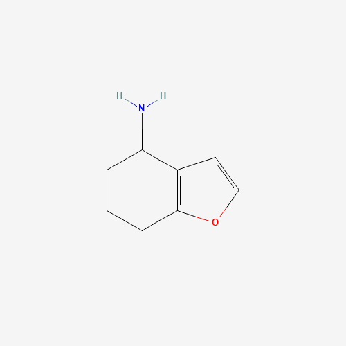 4,5,6,7-tetrahydro-1-benzofuran-4-amine (CAS: 389795-57-7) - Chemical Structure and Molecular Formula 