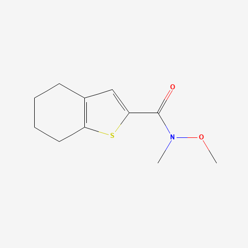 N-methoxy-N-methyl-4,5,6,7-tetrahydro-1-benzothiophene-2-carboxamide (CAS: 1346672-52-3) - Related Chemical Product