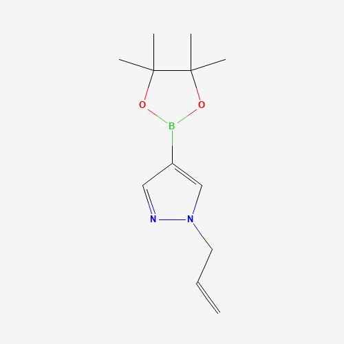 1-prop-2-enyl-4-(4,4,5,5-tetramethyl-1,3,2-dioxaborolan-2-yl)pyrazole (CAS: 1000801-78-4) - Related Chemical Product