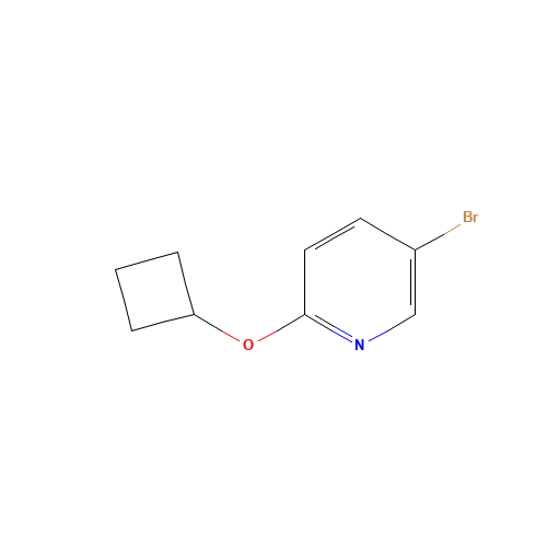 5-bromo-2-cyclobutyloxypyridine (CAS: 1159816-70-2) - Related Chemical Product