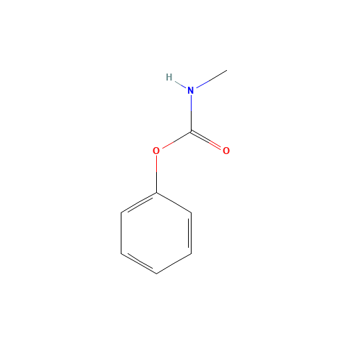 phenyl N-methylcarbamate (CAS: 1943-79-9) - Related Chemical Product