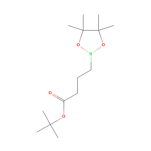 tert-butyl 4-(4,4,5,5-tetramethyl-1,3,2-dioxaborolan-2-yl)butanoate (CAS: 1454901-93-9) - Related Chemical Product