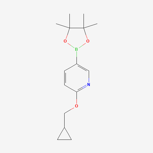 2-(cyclopropylmethoxy)-5-(4,4,5,5-tetramethyl-1,3,2-dioxaborolan-2-yl)pyridine (CAS: 947191-69-7) - Related Chemical Product