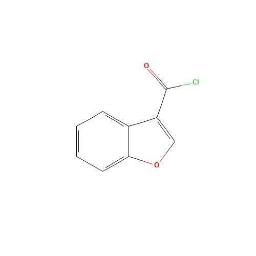 1-benzofuran-3-carbonyl chloride (CAS: 111964-21-7) - Related Chemical Product
