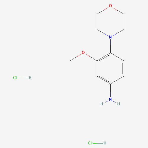 3-methoxy-4-morpholin-4-ylaniline;dihydrochloride (CAS: 1226776-91-5) - Related Chemical Product