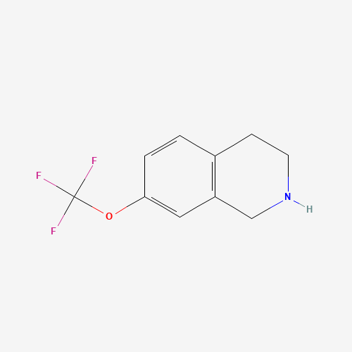 7-(trifluoromethoxy)-1,2,3,4-tetrahydroisoquinoline (CAS: 199678-30-3) - Related Chemical Product
