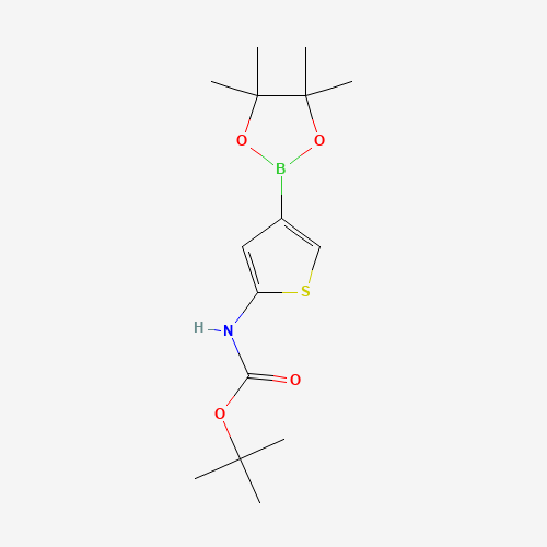 tert-butyl N-[4-(4,4,5,5-tetramethyl-1,3,2-dioxaborolan-2-yl)thiophen-2-yl]carbamate (CAS: 943323-78-2) - Related Chemical Product