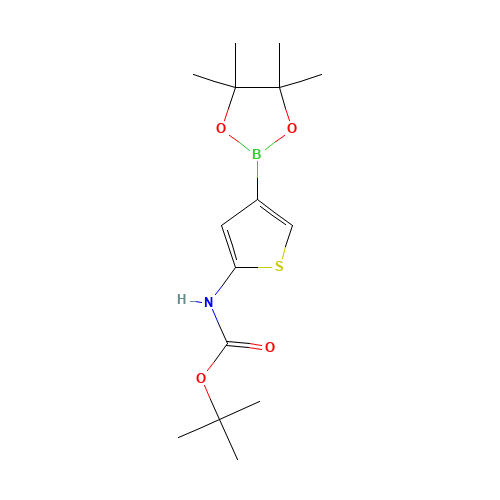tert-butyl N-[4-(4,4,5,5-tetramethyl-1,3,2-dioxaborolan-2-yl)thiophen-2-yl]carbamate (CAS: 943323-78-2) - Related Chemical Product