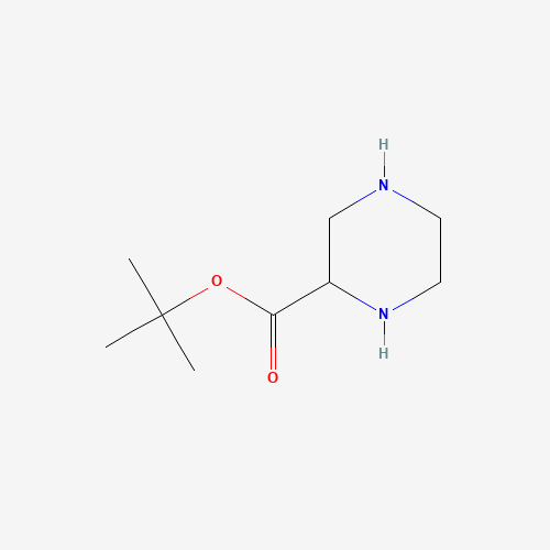 tert-butyl piperazine-2-carboxylate (CAS: 146398-94-9) - Related Chemical Product